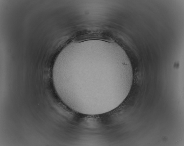 X0000092110756200710101143