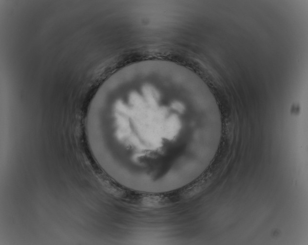 X0000092110757200710101143