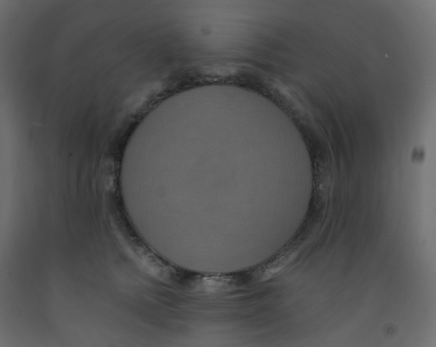 X0000092110758200710101143