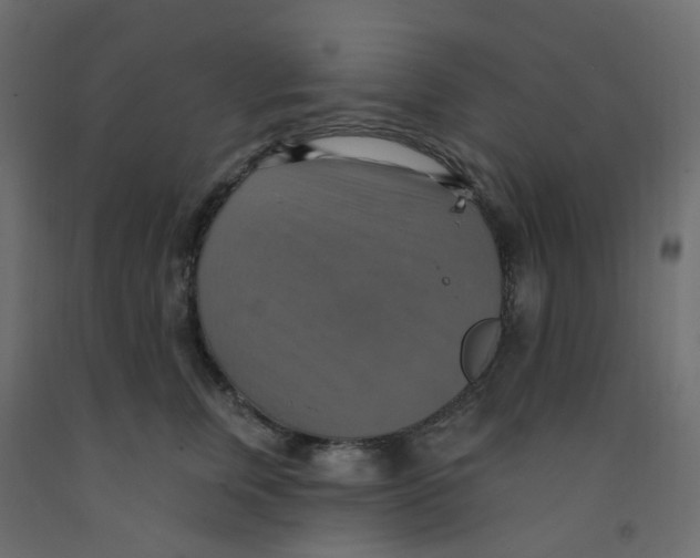X0000092110759200710101143