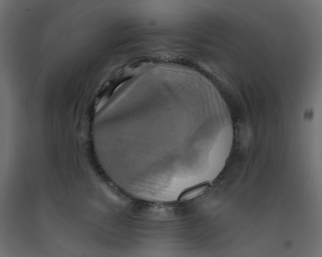 X0000092110760200710101143