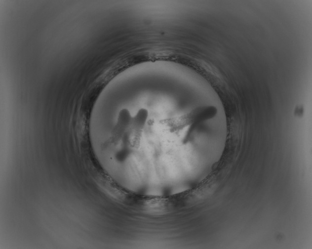 X0000092110761200710101143