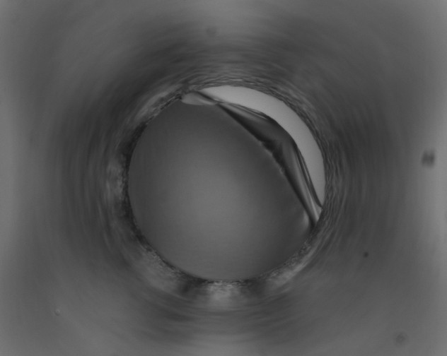 X0000092110762200710101143