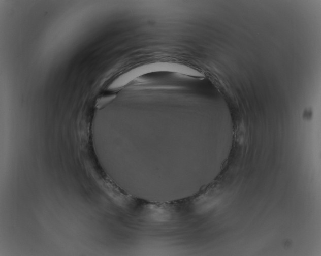 X0000092110763200710101143