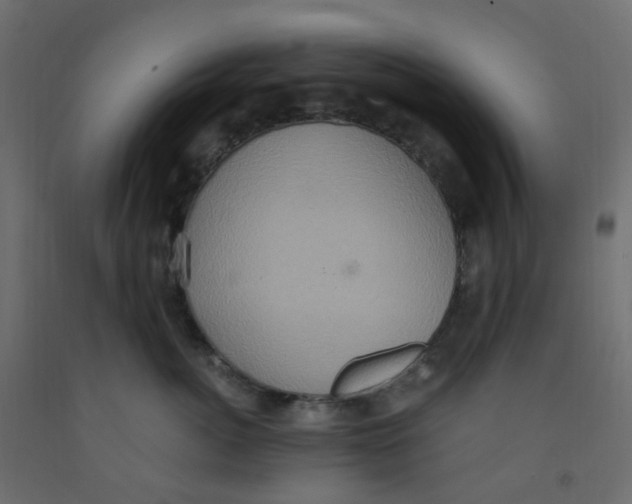 X0000092110764200710101143