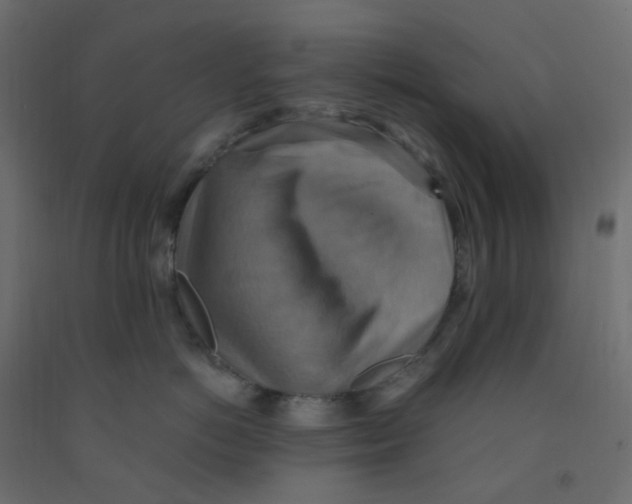 X0000092110766200710101143