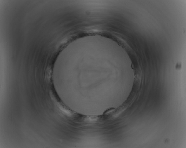 X0000092110767200710101143