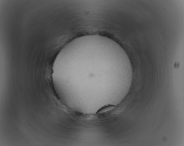 X0000092110768200710101143