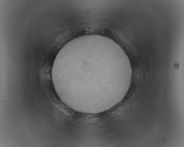 X0000092110770200710101142
