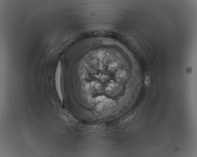 X0000092110771200710101142