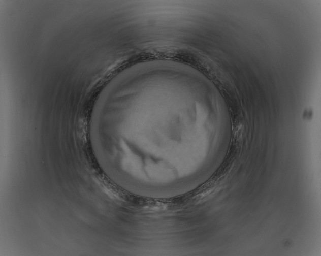 X0000092110772200710101142