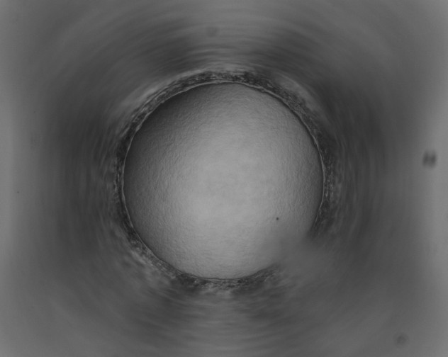 X0000092110773200710101142
