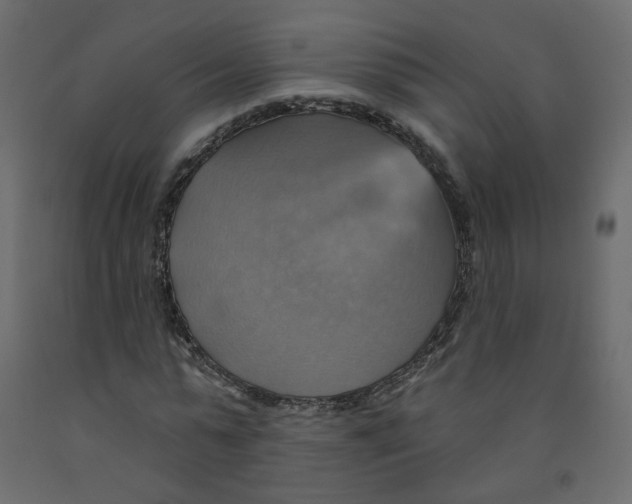 X0000092110775200710101142