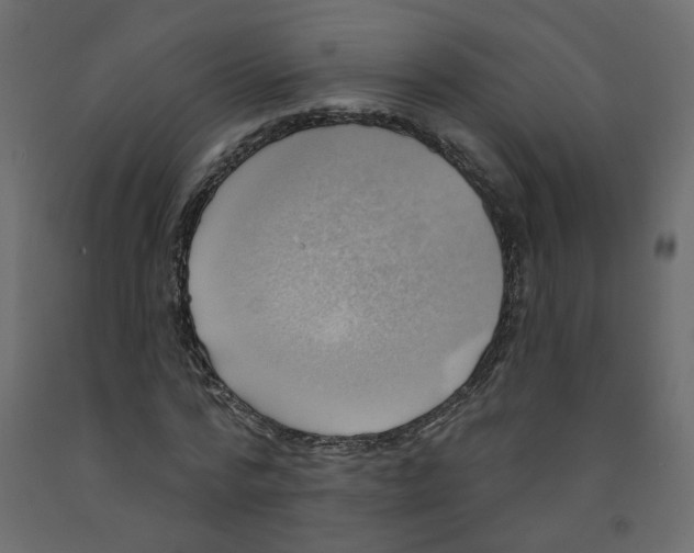 X0000092110776200710101142