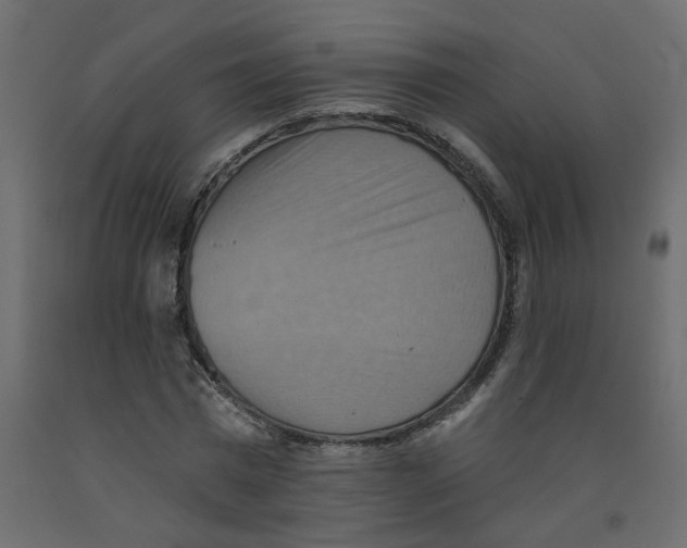 X0000092110777200710101142