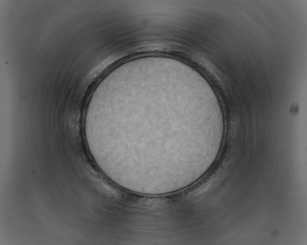 X0000092110778200710101142