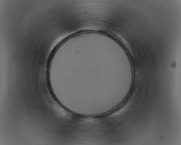 X0000092110779200710101142