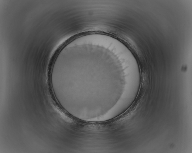 X0000092110780200710101142