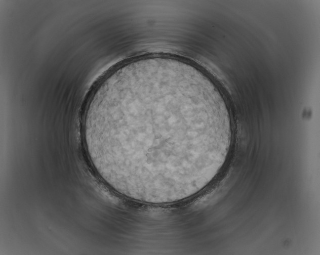 X0000092110782200710101142