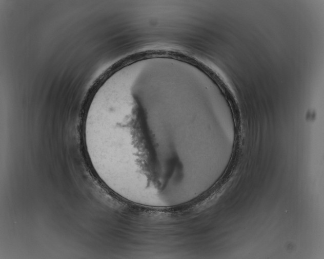 X0000092110783200710101142