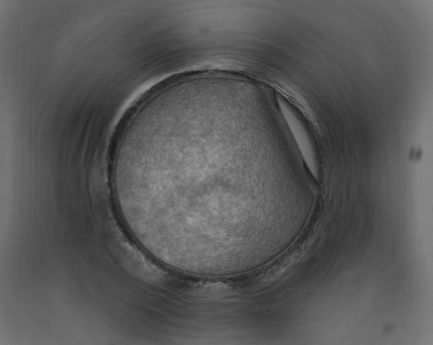 X0000092110784200710101142