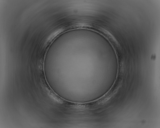 X0000092110785200710101142