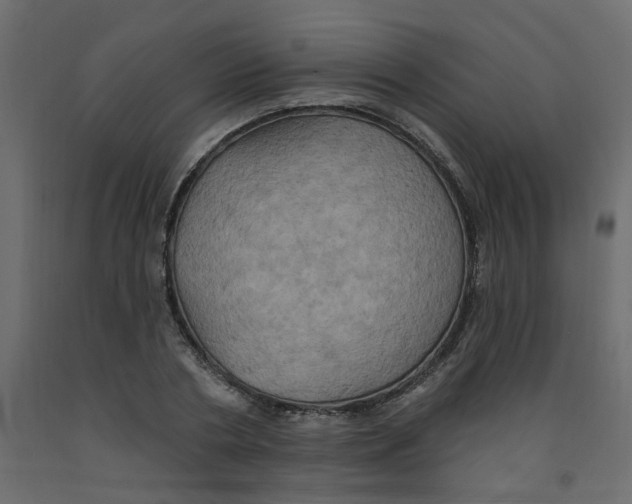 X0000092110786200710101142