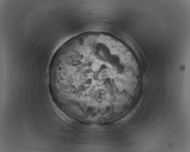 X0000092110787200710101142