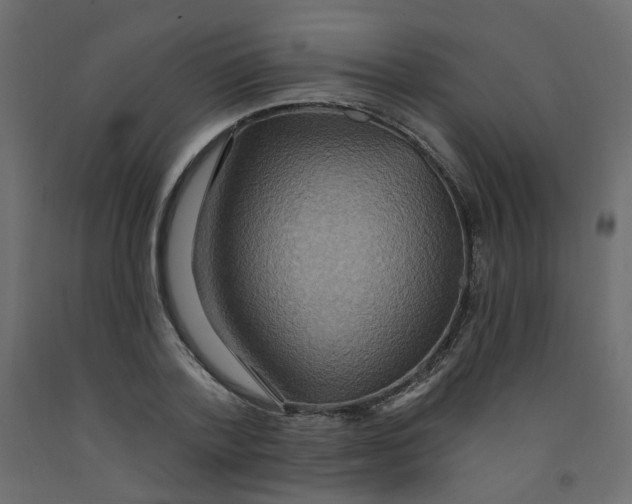 X0000092110788200710101142