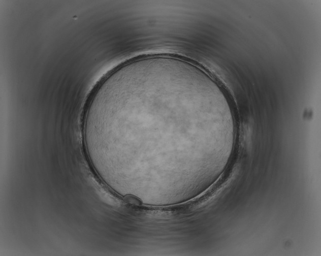 X0000092110789200710101142