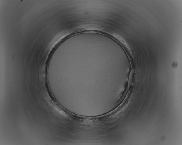 X0000092110790200710101142
