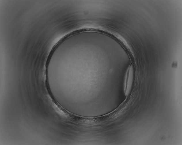 X0000092110791200710101142
