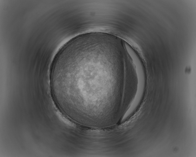 X0000092110792200710101142