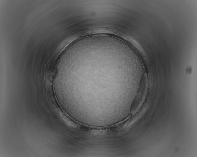 X0000092110793200710101142