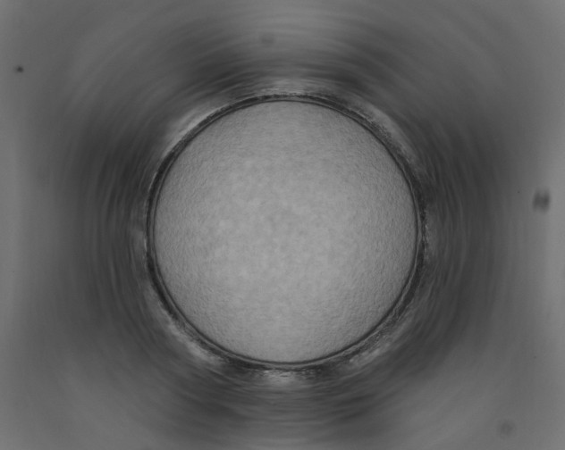 X0000092110794200710101142