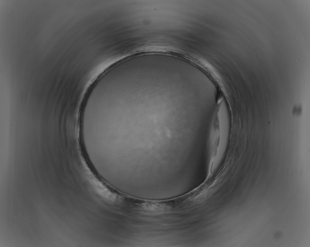 X0000092110795200710101142