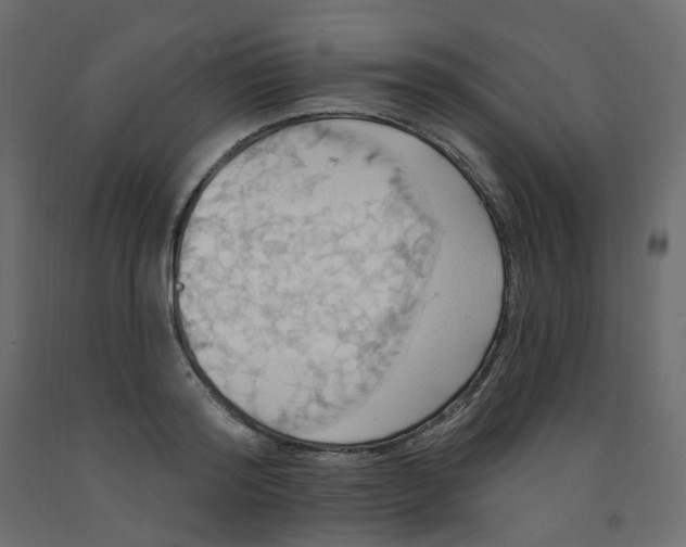 X0000092110796200710101142