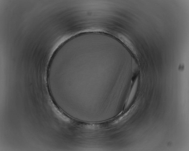X0000092110797200710101142