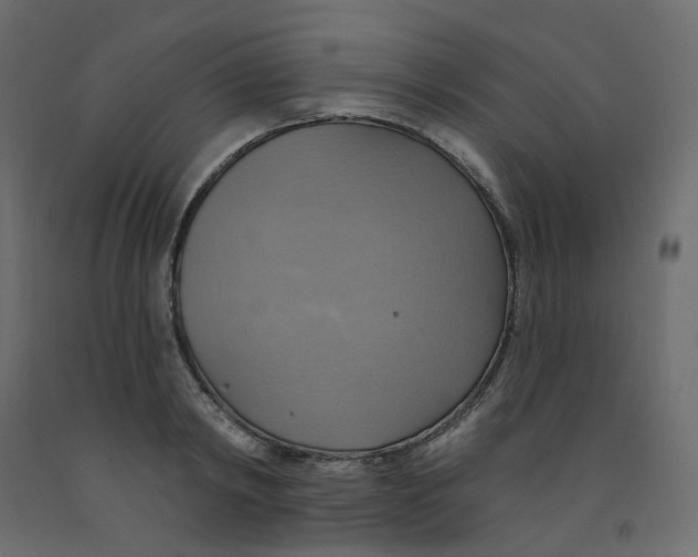 X0000092110798200710101142