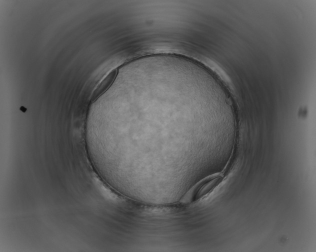 X0000092110801200710101142