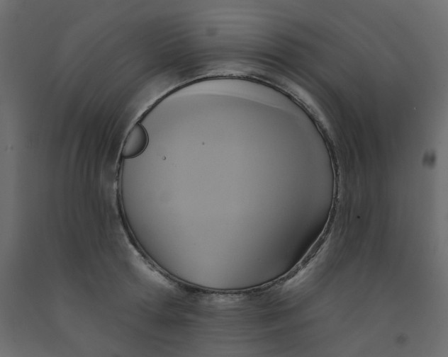 X0000092110802200710101142
