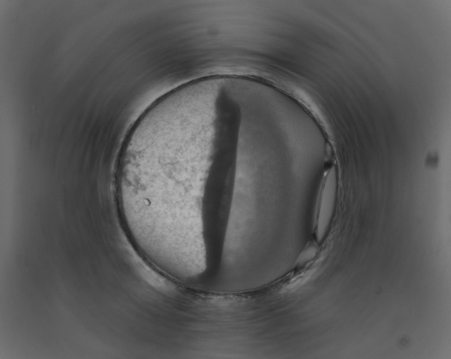 X0000092110803200710101142