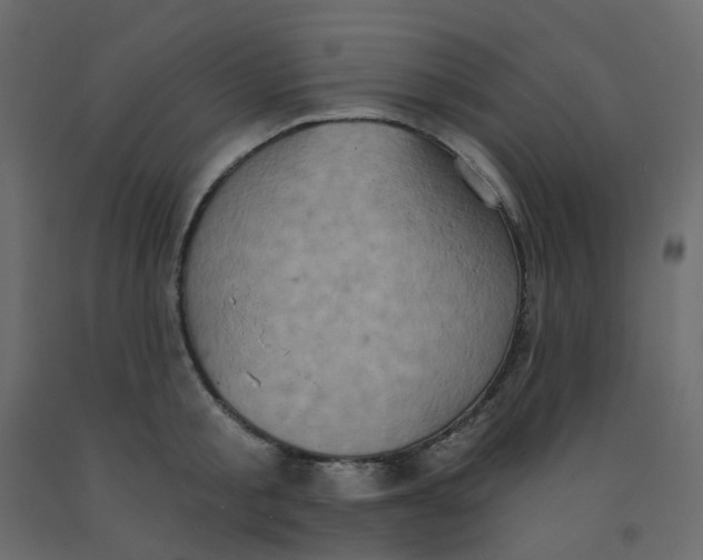 X0000092110805200710101142