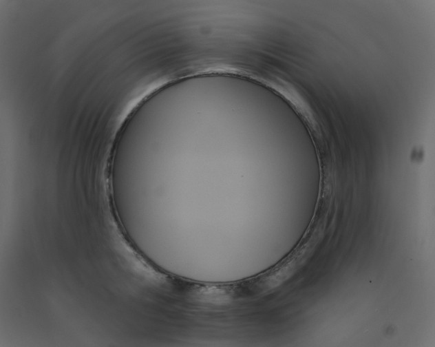 X0000092110806200710101142