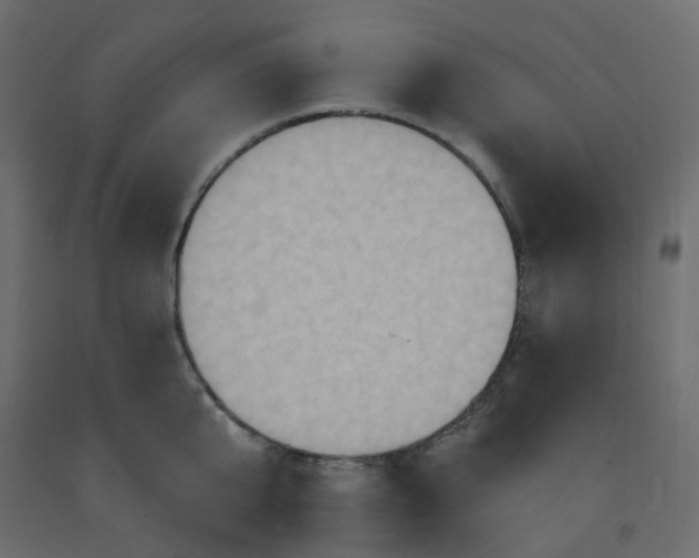 X0000092110807200710101142