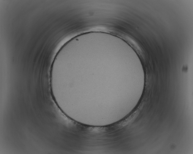 X0000092110808200710101142
