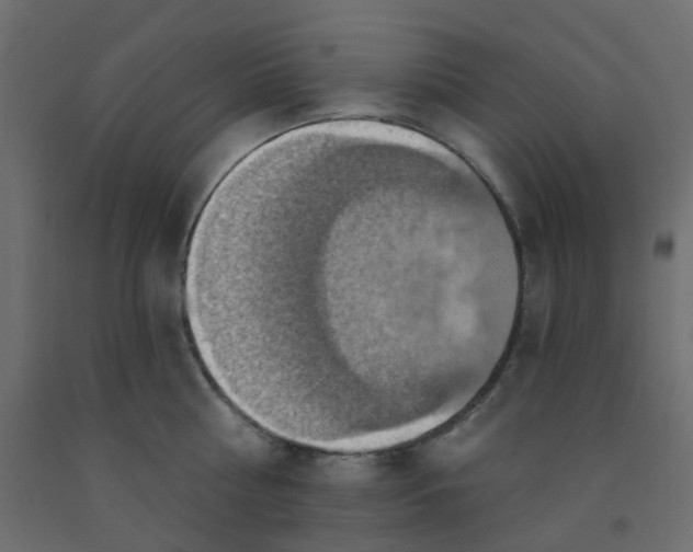 X0000092110810200710101142