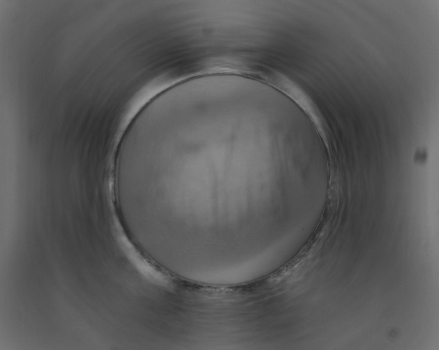 X0000092110811200710101142