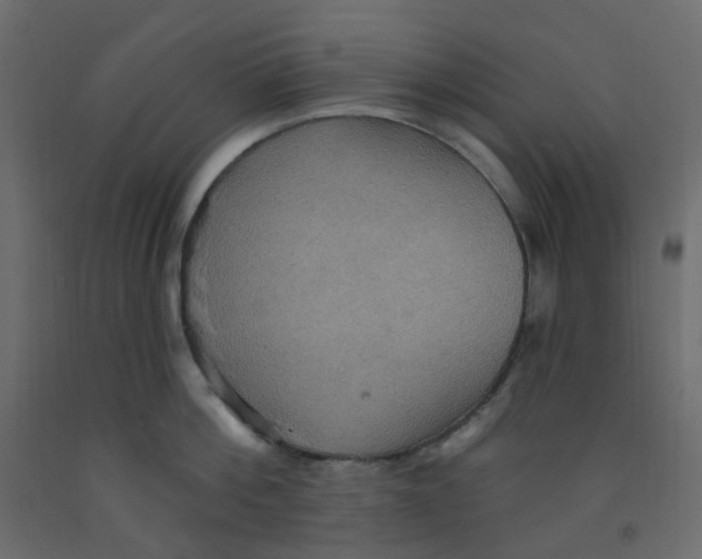 X0000092110812200710101142