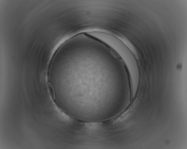 X0000092110813200710101142